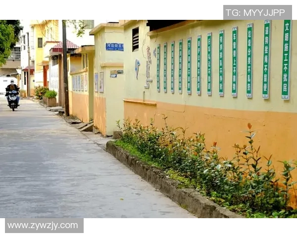 乡宁姚明辉的奋斗故事与乡村振兴的美好愿景